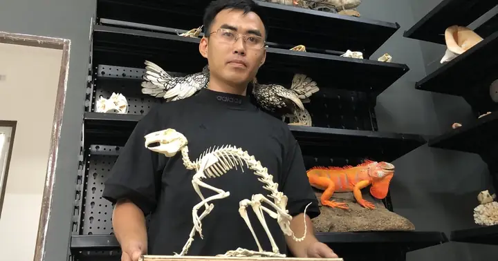 Chàng Trai Mua Cá Ngoài Chợ Về Học Làm Tiêu Bản