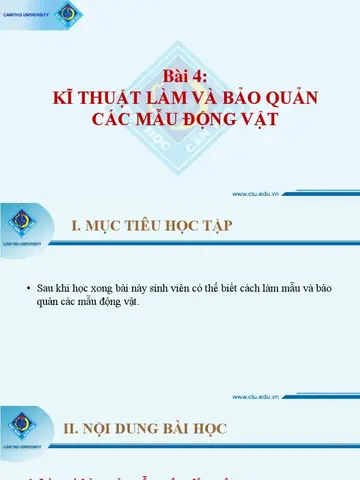 Bài 4: Kĩ Thuật Làm Và Bảo Quản Các Mẫu Động Vật | Pdf