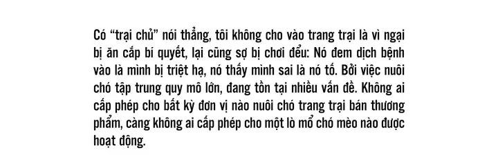Bài 3: Bất Ngờ Ở Những Trại Chó Hàng Nghìn Con - Ảnh 3. Bài 3: Bất Ngờ Ở Những Trại Chó Hàng Nghìn Con - Ảnh 3.