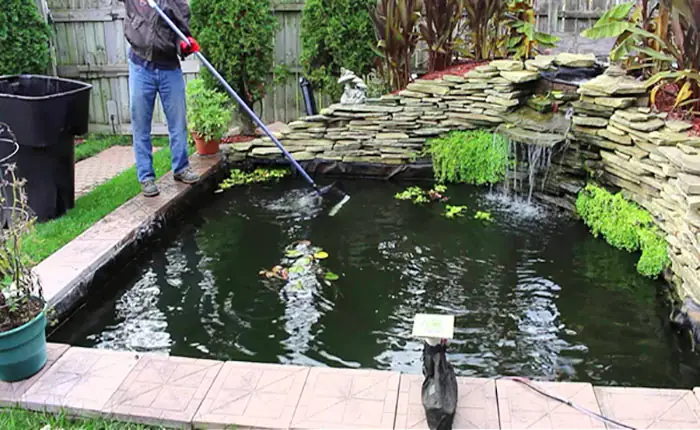 Kiểm Tra Và Bảo Dưỡng Hồ Cá Định Kỳ