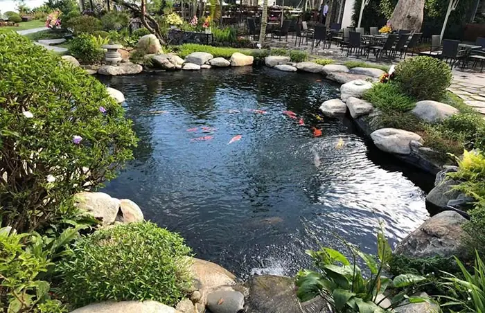 Sử Dụng Hệ Thống Lọc Nước Đạt Chuẩn Để Làm Trong Nước Hồ Cá