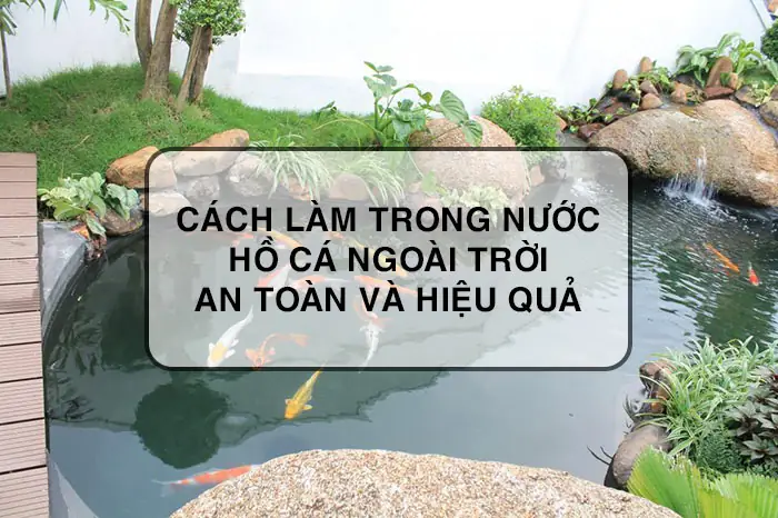 Cach Lam Trong Nuoc Ho Ca Ngoai Troi