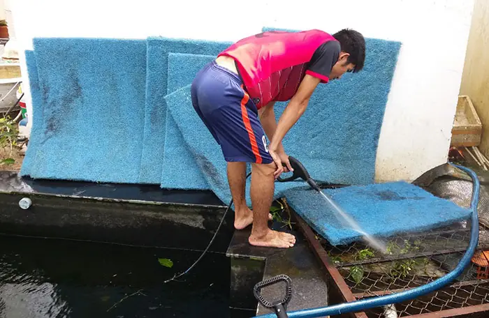 Vệ Sinh Hệ Thống Lọc Nước Hồ Cá Ngoài Trời Đúng Cách