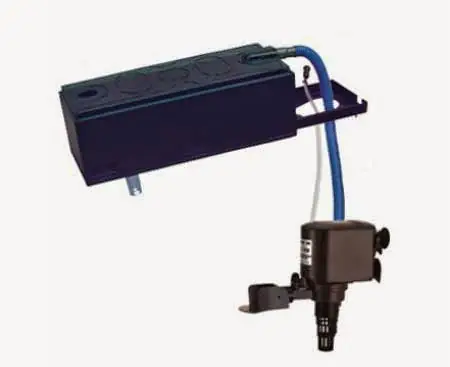 Hướng Dẫn Chi Tiết Cách Lắp Bộ Lọc Nước Hồ Cá Tại Nhà Hướng Dẫn Chi Tiết Cách Lắp Bộ Lọc Nước Hồ Cá Tại Nhà