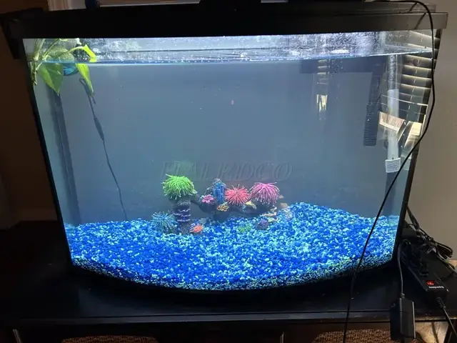 Tiến Hành Lắp Đặt Đèn Uv