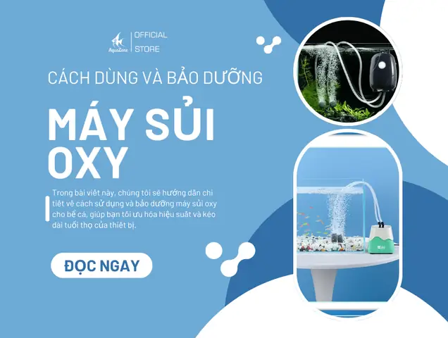 Hướng Dẫn Sử Dụng Và Bảo Dưỡng Máy Sủi Oxy Cho Bể Cá ... Hướng Dẫn Sử Dụng Và Bảo Dưỡng Máy Sủi Oxy Cho Bể Cá ...
