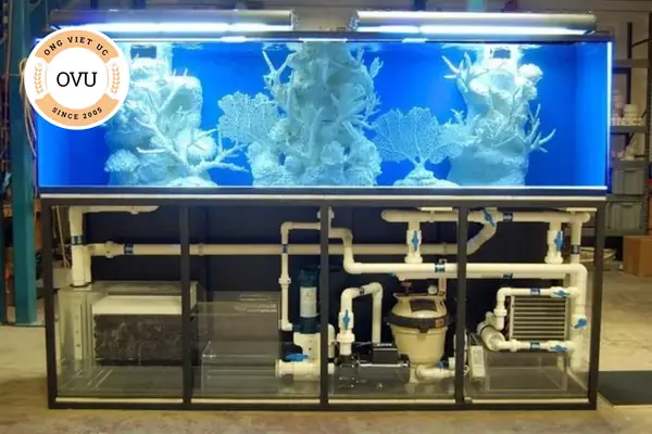 Hiểu Về Hệ Thống Sục Khí Và Các Thành Phần