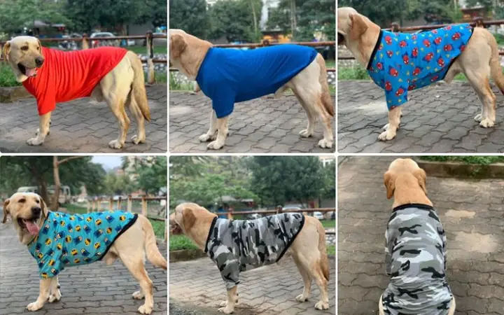 Cách May Áo Cho Chó Từ Áo Thun