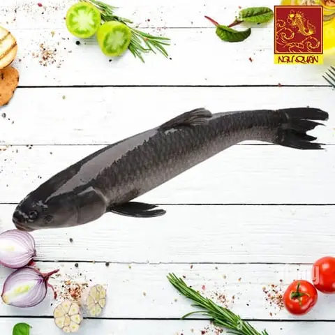 Cá Trắm Đen - Nhà Hàng Ngư Quán