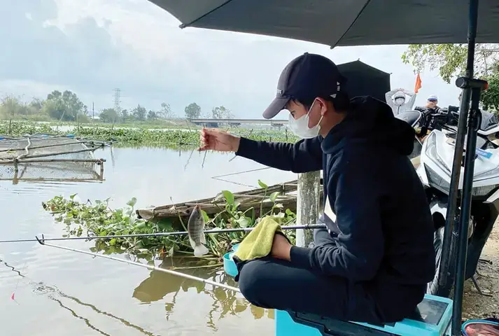 Các Phương Pháp Phát Hiện Xương Cá Trong Thịt Cá