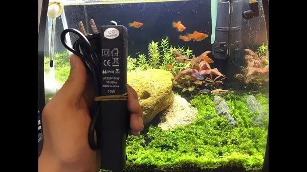 Hướng Dẫn Kích Thước Máy Sưởi Hồ Cá Bảy Màu