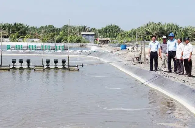 Xây Dựng Ao Nuôi Cá Đạt Tiêu Chuẩn