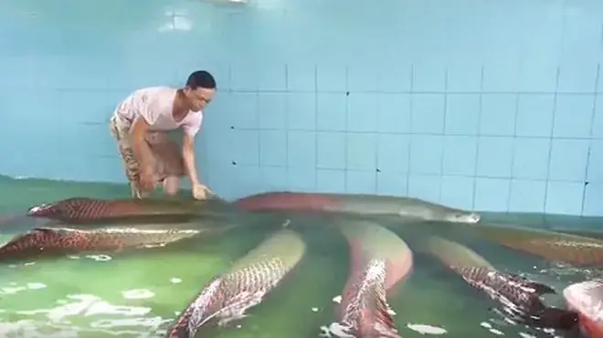 Môi Trường Nước