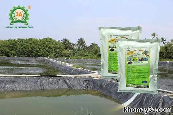 Quy Trình Nuôi Cá Tai Tượng Thương Phẩm