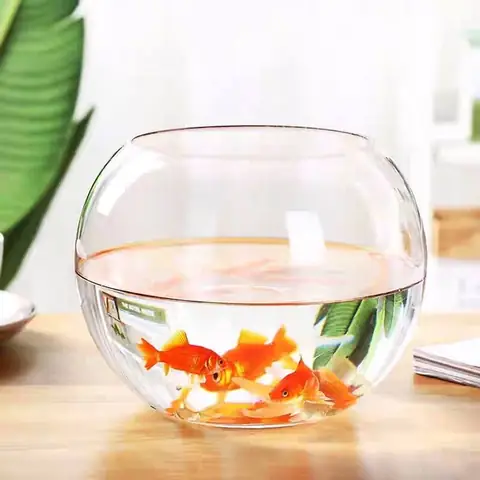 Chọn Loại Cá Phù Hợp