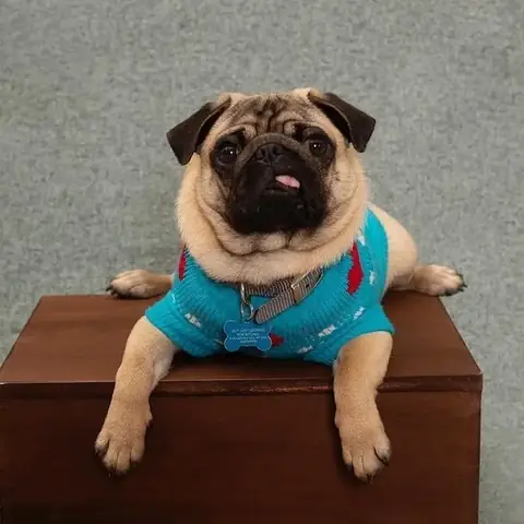 Sử Dụng Sữa Tắm Khô Sử Dụng Sữa Tắm Khô