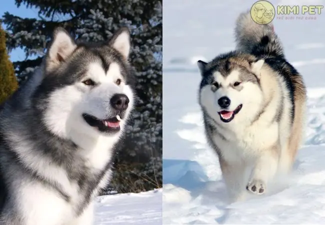 Điều Kiện Khí Hậu