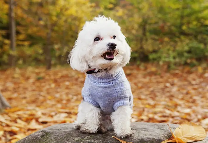 Thời Kỳ Thứ Hai Thời Kỳ Thứ Hai