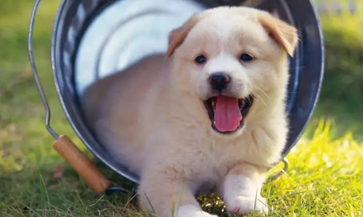 Thời Kỳ Thứ Ba Thời Kỳ Thứ Ba