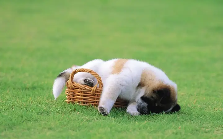 Thời Kỳ Thứ Hai Thời Kỳ Thứ Hai