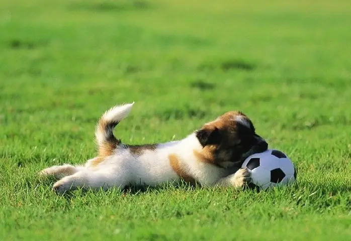 Thời Kỳ Thứ Hai Thời Kỳ Thứ Hai