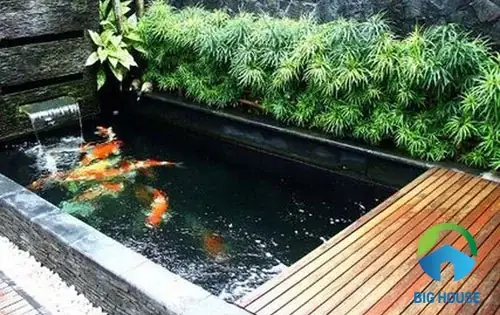Hướng Dẫn Chi Tiết Cách Ốp Gỗ Hồ Cá Đẹp, Bền Và An Toàn Cho Sinh Vật