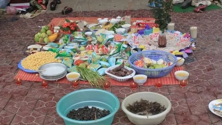 2nghi Thức Phóng Sinh Tại Nhà