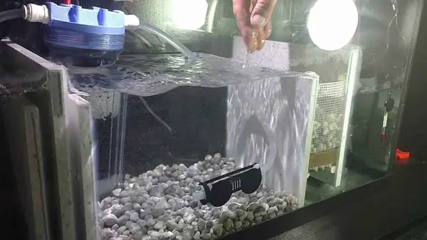 Các Loại Vật Liệu Lọc Nước Bể Cá, Hồ Cá Tốt Nhất Trên Thị Trường