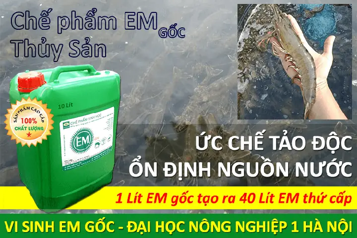 Chế Phẩm Sinh Học Em Dùng Cho Thủy Sản Nuôi Tôm, Cá..