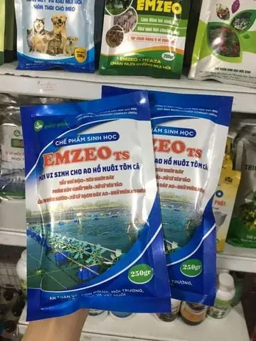 Công Nghệ Vi Sinh Em Cải Thiện Môi Trường Ao Nuôi Tôm Công Nghiệp