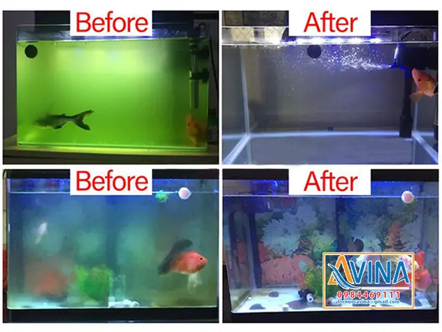 Cách Sử Dụng Đèn Uv Cho Bể Cá Cách Sử Dụng Đèn Uv Cho Bể Cá
