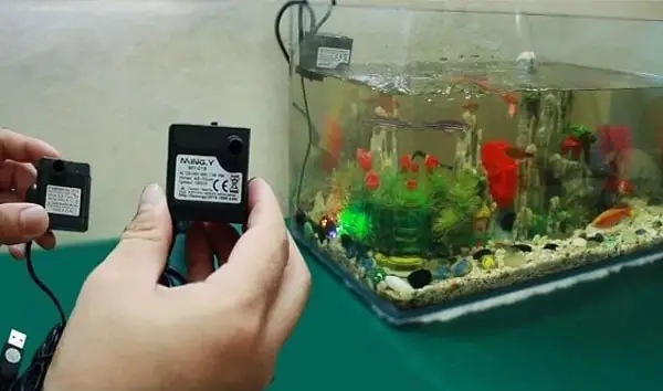 Cách Sử Dụng Máy Bơm Bể Cá: Hướng Dẫn Toàn Tập Từ A Đến Z