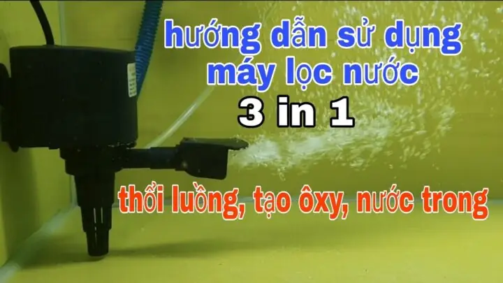 Cách Sử Dụng Máy Bơm Nước Hồ Cá Hiệu Quả Và An Toàn