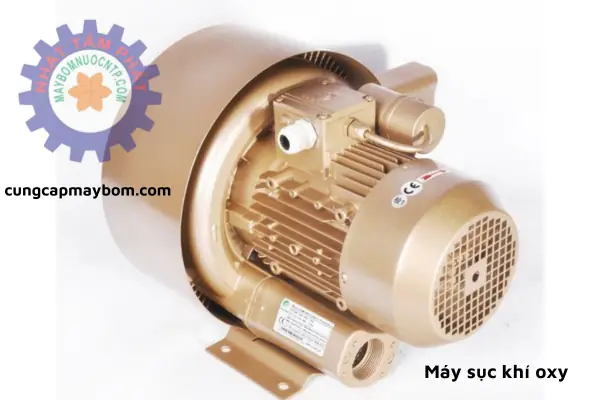 Một Số Lỗi Của Máy Sục Khí Oxy Cho Bể Cá Và Cách Khắc Phục Một Số Lỗi Của Máy Sục Khí Oxy Cho Bể Cá Và Cách Khắc Phục