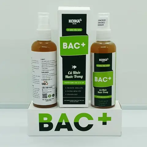 Cách Tạo Vi Sinh Cho Hồ Cá Koi Bằng Men Vi Sinh Dạng Nước