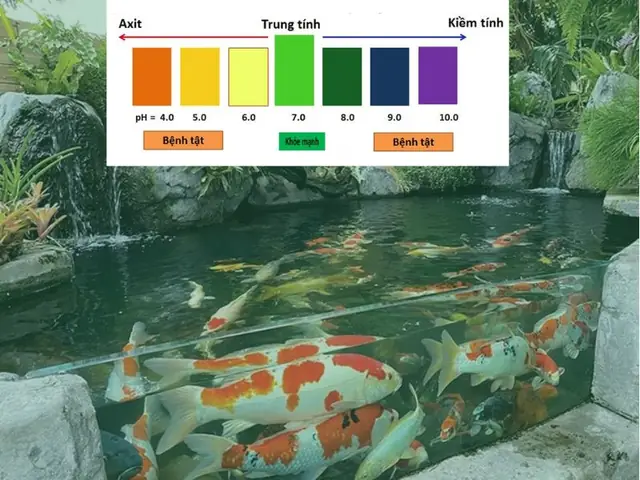 Độ Ph Lý Tưởng Cho Cá