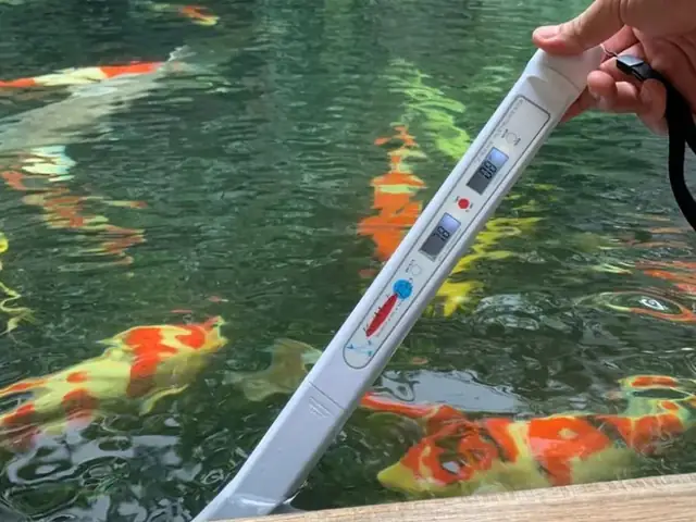 Nguyên Nhân Khiến Độ Ph Bị Giảm