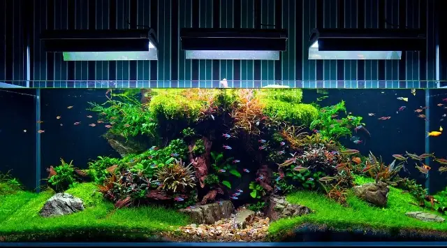 Chuẩn Bị Vật Liệu