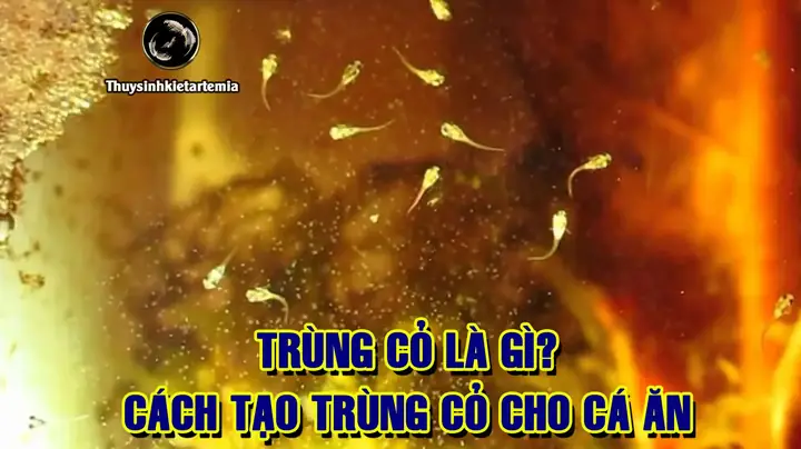 Cách Tạo Trùng Cỏ Cho Cá Ăn