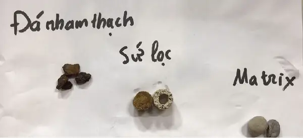 Tạo Giá Thể Cho Vi Sinh