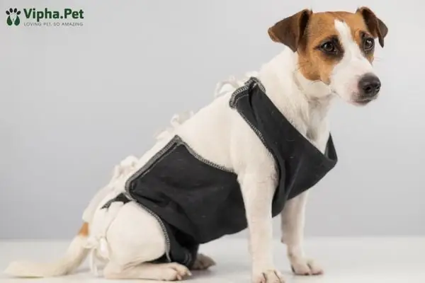 Tác Hại Của Giun Sán