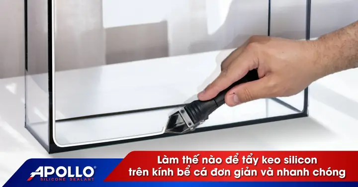 Hướng Dẫn Tẩy Keo Silicon Trên Kính Bể Cá Đơn Giản Và ...