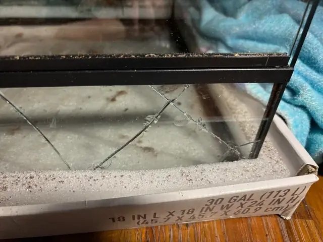 Cách Tháo Kính Hồ Cá: Hướng Dẫn Chi Tiết An Toàn Cho Người Mới Bắt Đầu