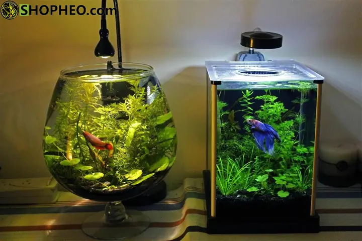 Bước 3: Vị Trí Đặt Bể Bước 3: Vị Trí Đặt Bể