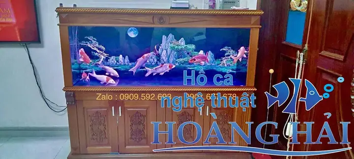 Hoàn Tất Quy Trình Thiết Kế Hồ Cá Thủy Sinh, Cần Chờ 3-5 Ngày Sau Đó Thả Cá.