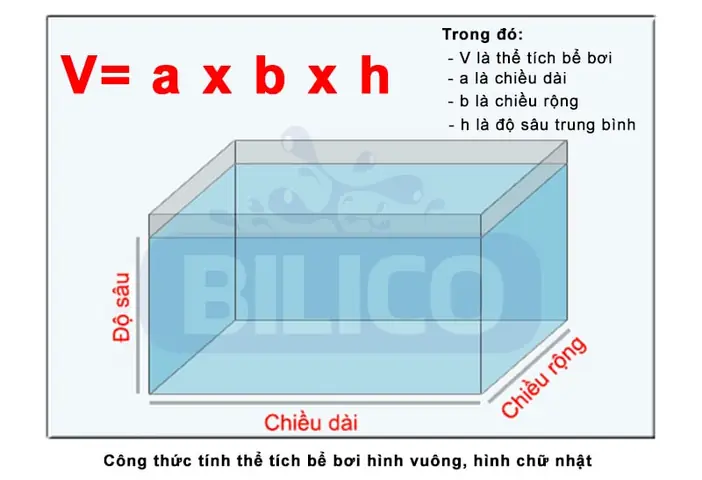 Tính Thể Tích Nước Cho Hồ Cá Hình Chữ Nhật, Hình Vuông Tính Thể Tích Nước Cho Hồ Cá Hình Chữ Nhật, Hình Vuông