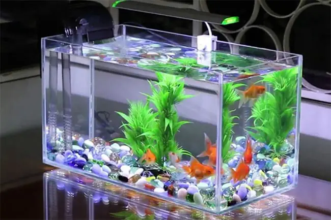 Hướng Dẫn Cách Trang Trí Bể Cá Thủy Sinh Mini Đơn Giản, Đẹp