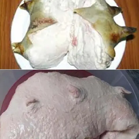 Cách Trị Chó Ăn Gà: Hướng Dẫn Xử Lý Và Phòng Ngừa An Toàn