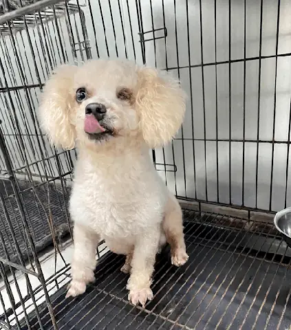 Các Lưu Ý An Toàn Các Lưu Ý An Toàn