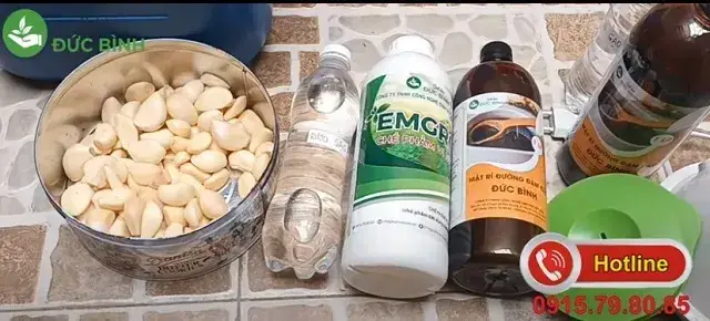 Phương Pháp Ủ Tỏi Cho Cá Ăn Để Trị Bệnh Và Tăng Cường Sức Khỏe